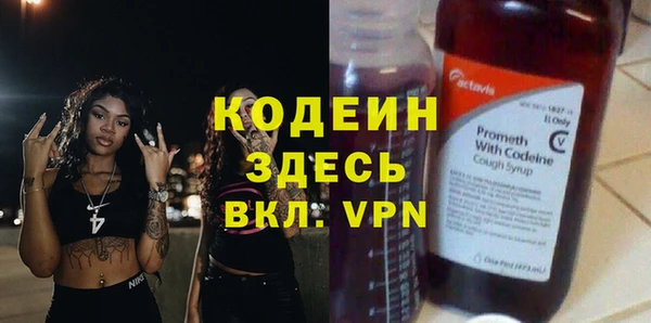стаф Абаза