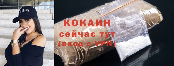 стаф Абаза
