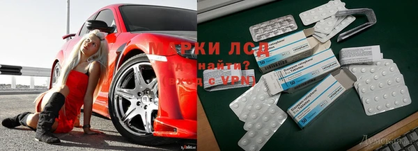 стаф Абаза