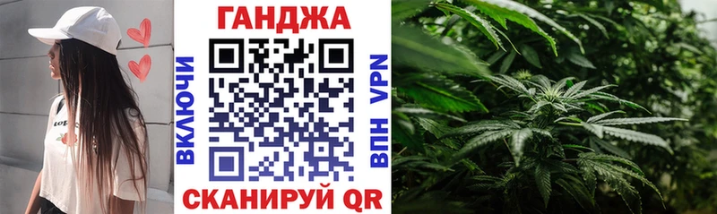 закладка  Уржум  Марихуана сатива 